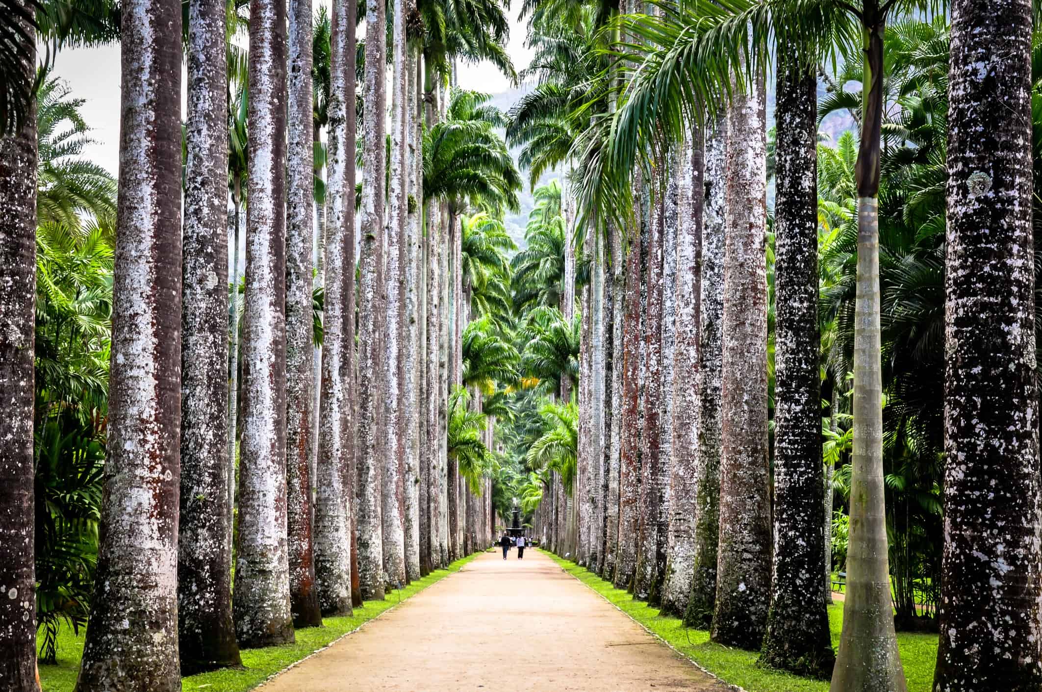 Private Tour of Rio de Janeiro