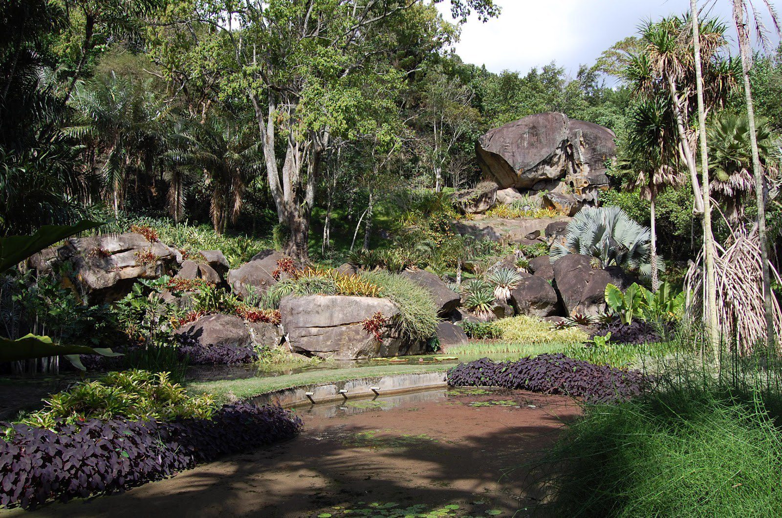 Tour Prainha and Grumari [5] burlemarx and casa do pontal day tour