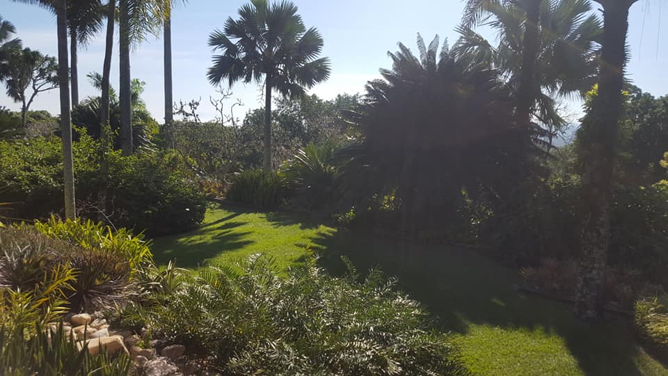Tour guide Fabio with tourists on Burle Marx tour exploring the legendary landscape architect's garden estate in Rio de Janeiro