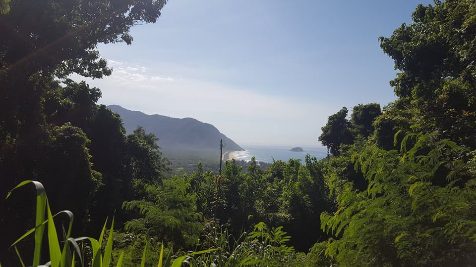 Rainforest Full-Day Tour [6] pedra do telegrafo hiking tour 1