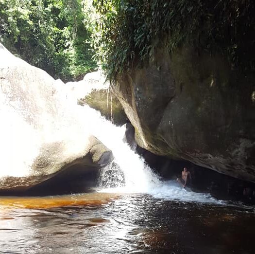 Lush Atlantic rainforest and granite peaks at Serra dos Órgãos on guided nature day tour from Rio de Janeiro