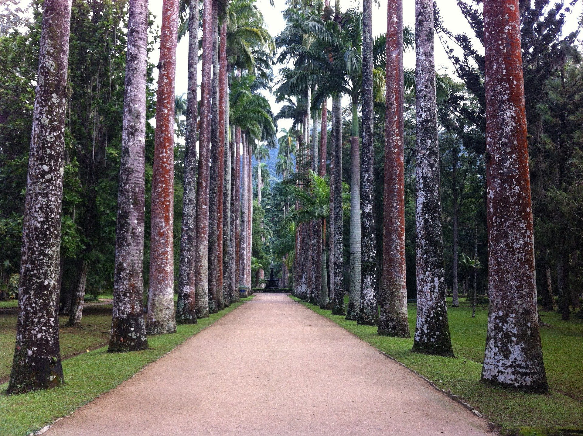 3 days in rio de janeiro