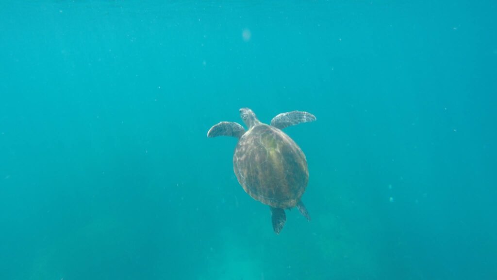 ilha grande ultimate travel guide