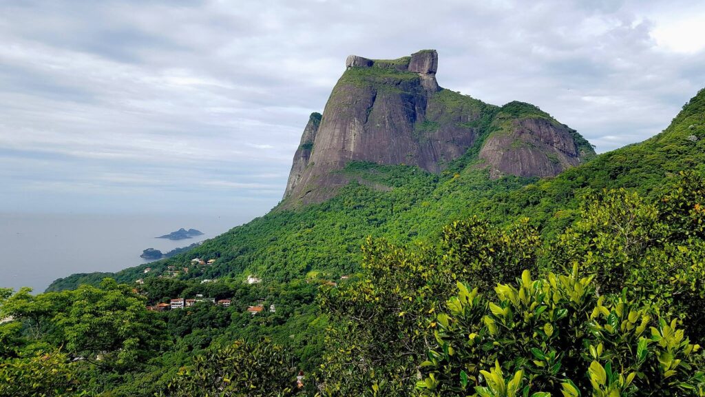 tijuca forest travel guide