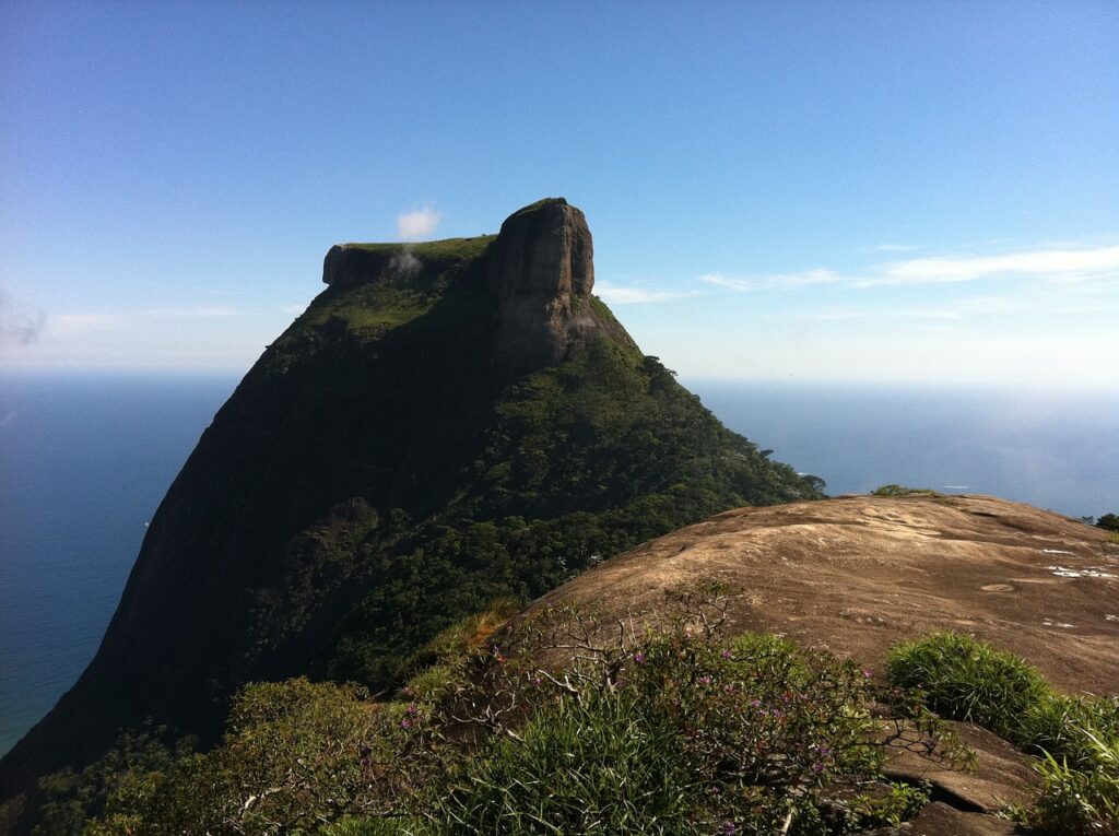 wildlife areas in barra da tijuca
