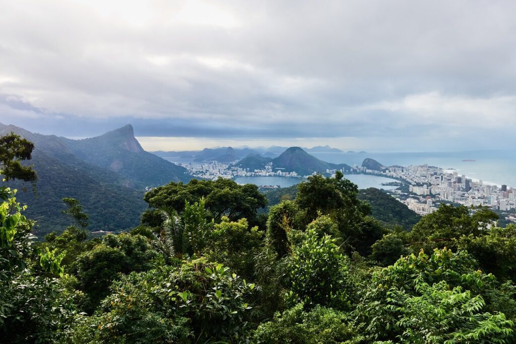 vista chinesa rio de janeiro chinese view
