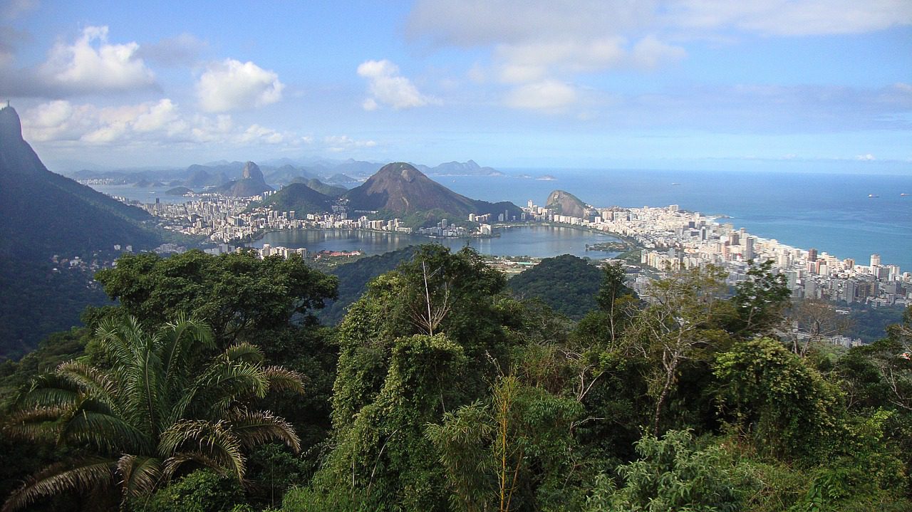 Little Africa Rio de Janeiro Private Tour [8] tour tijuca forest and botanical garden