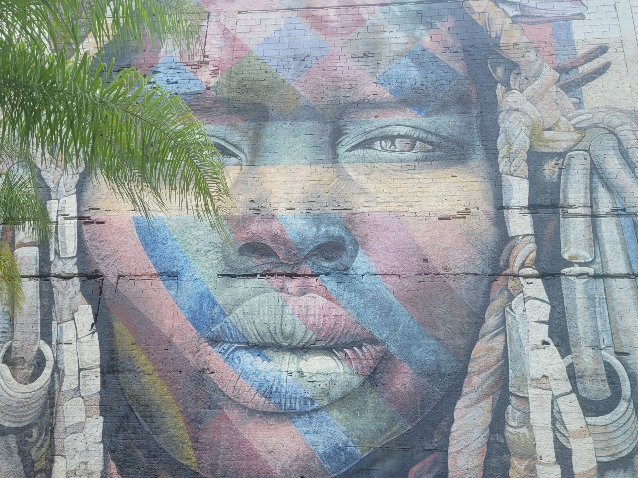 kobra mural rio biggest graffiti in the world