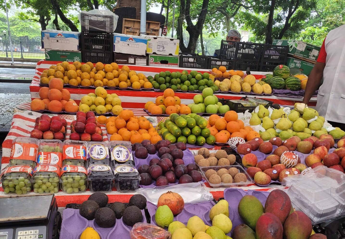 City-Tour Christ and Sugar Loaf [9] sunday tour rio gloria market local food scaled e1762619957724
