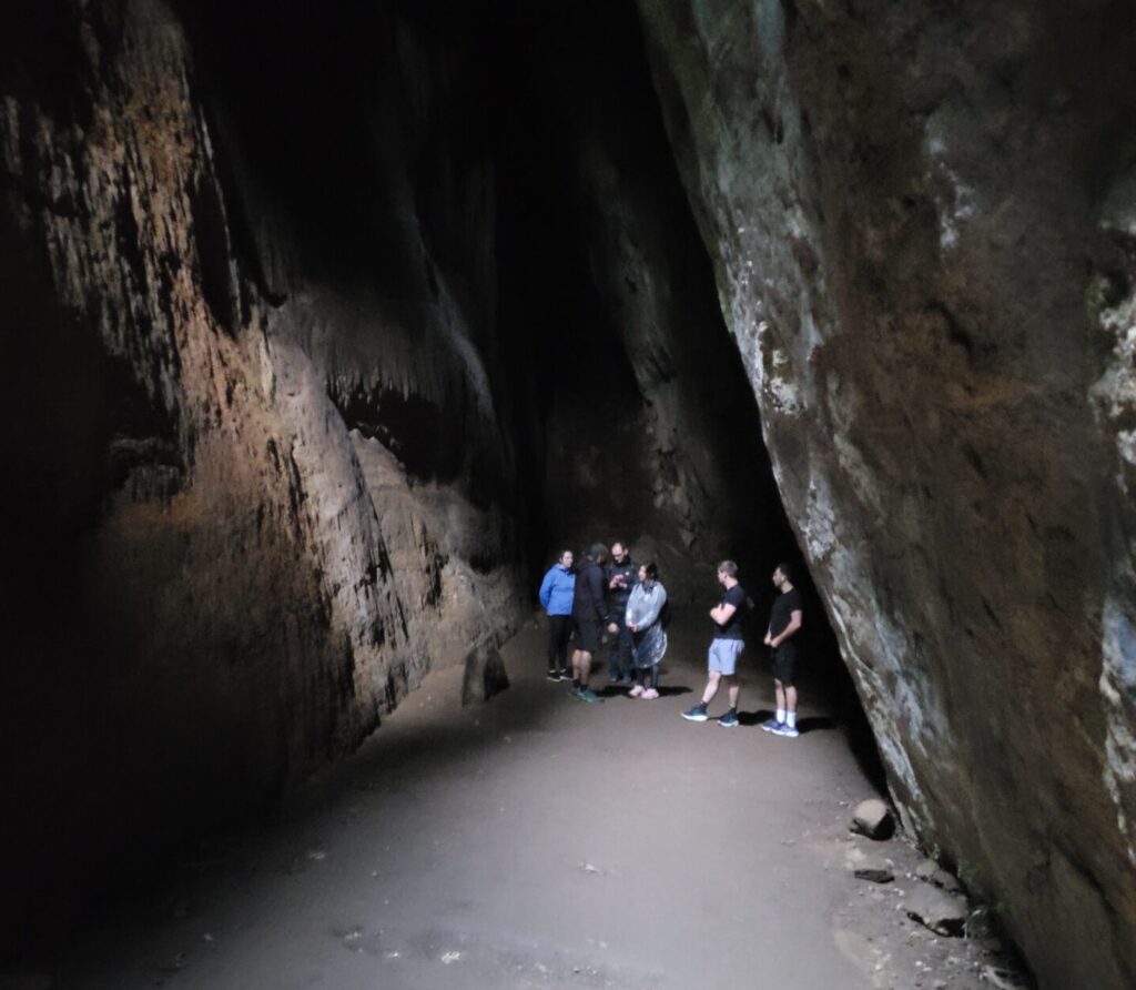 Lush Tijuca rainforest trail with tropical vegetation on full day guided hiking tour in Rio de Janeiro