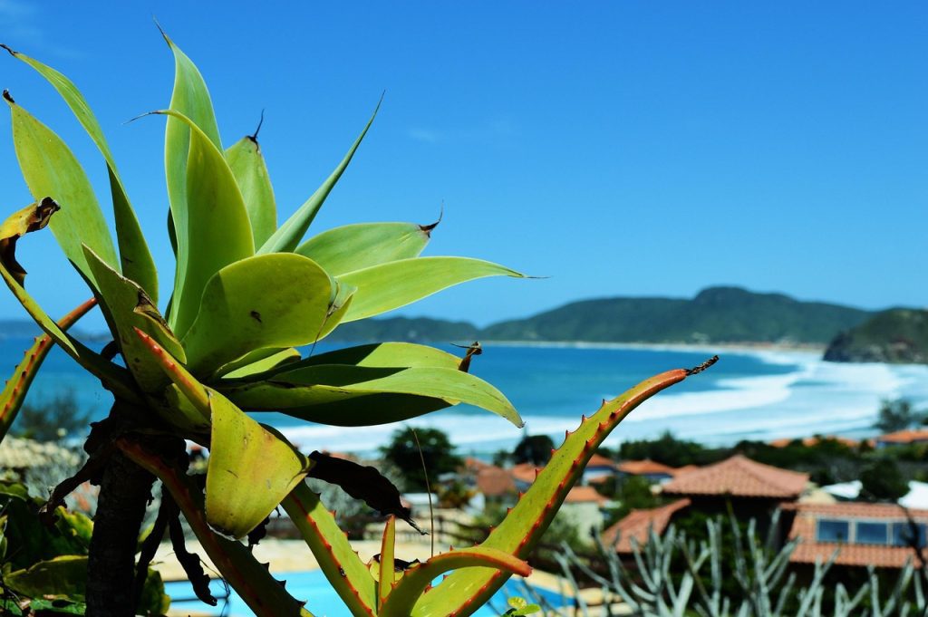 buzios private tour from rio de janeiro with expert private guide and private transportation