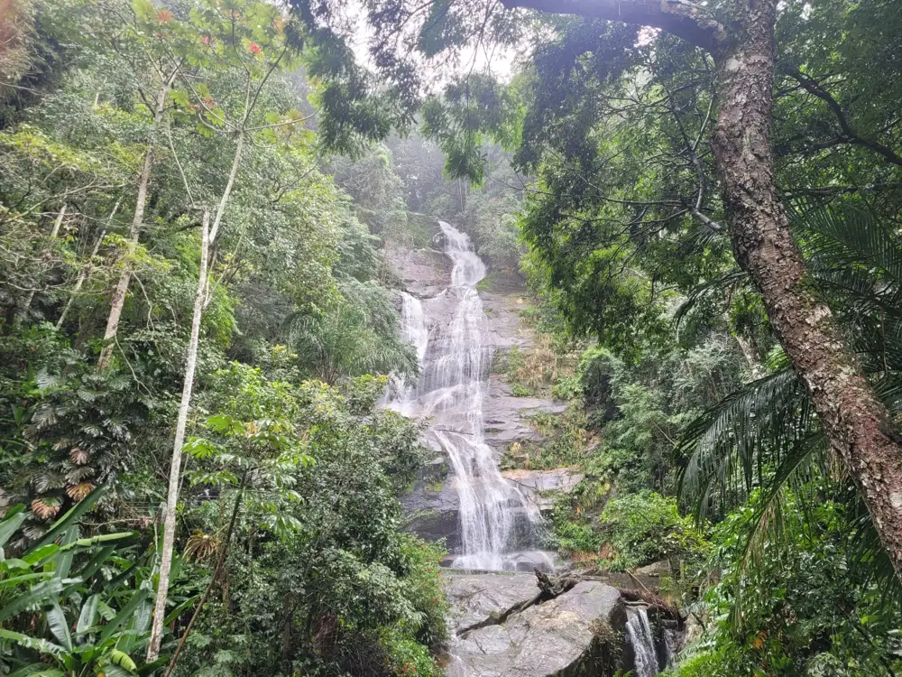 Waterfall in Tijuca Forest, a top nature experience among Rio de Janeiro travel trends in 2026